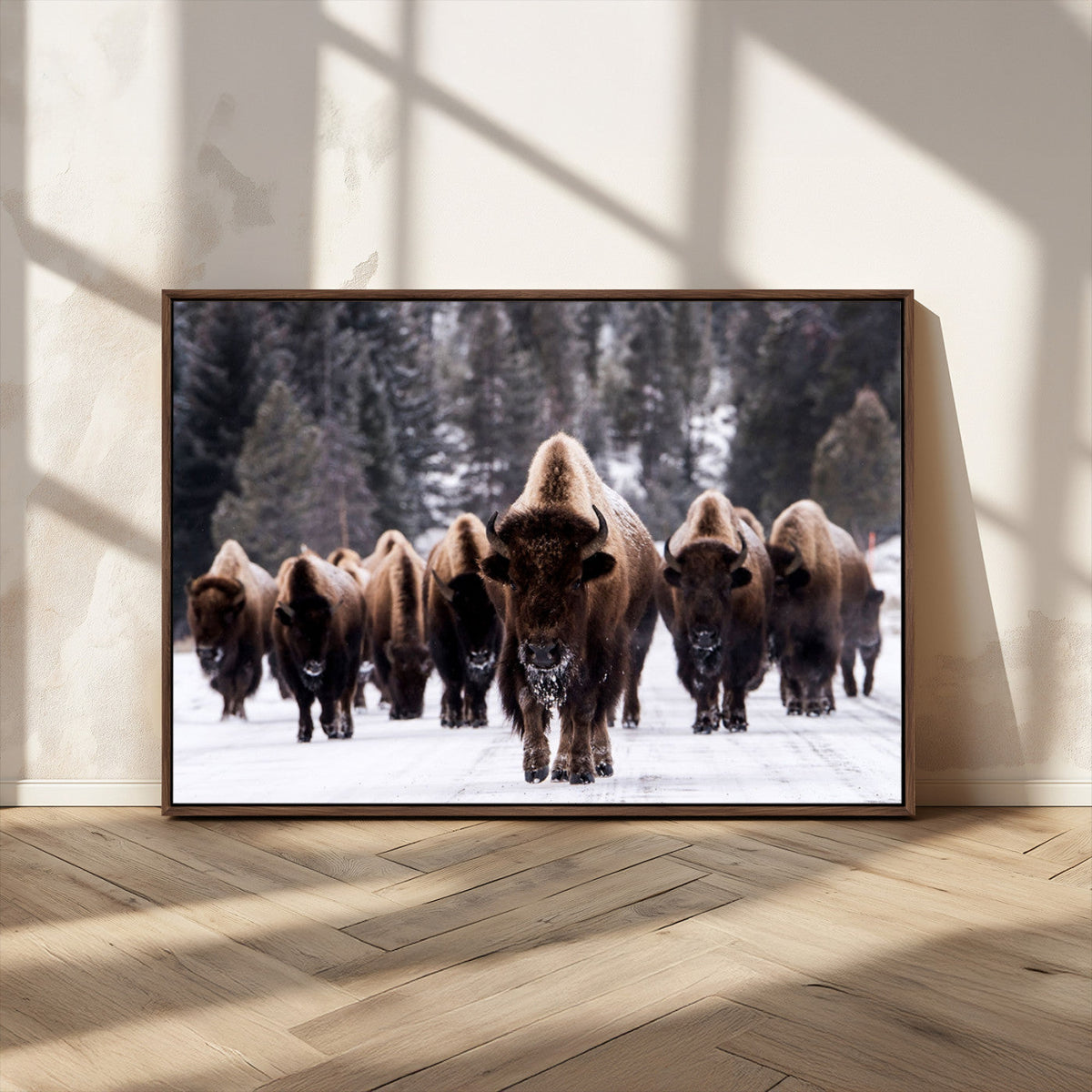 Bison Wall Art Canvas Print, Bison Herd Canvas Wall Art