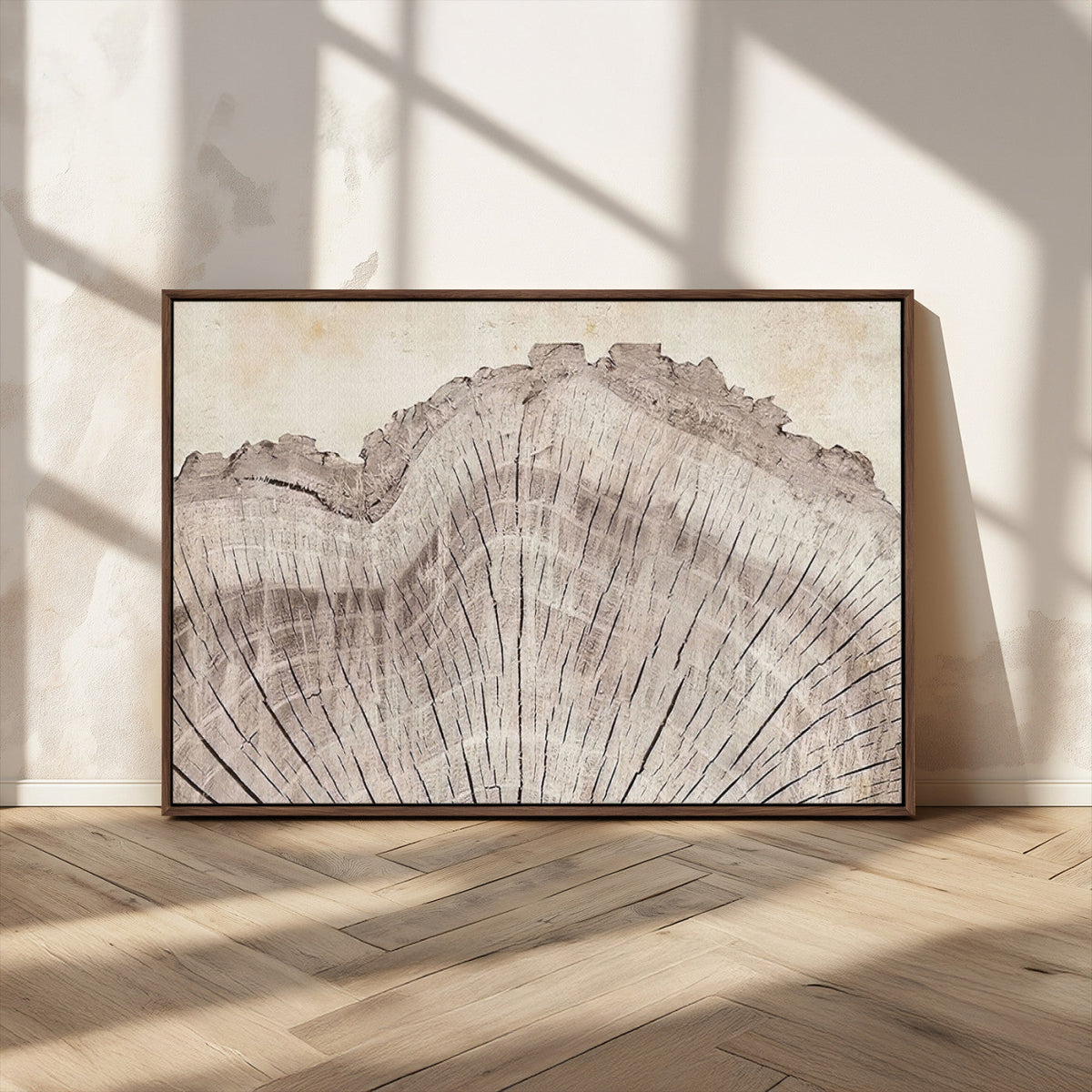 Tree Ring Wall Art Triptych, Rustic Wood Ring Canvas Print