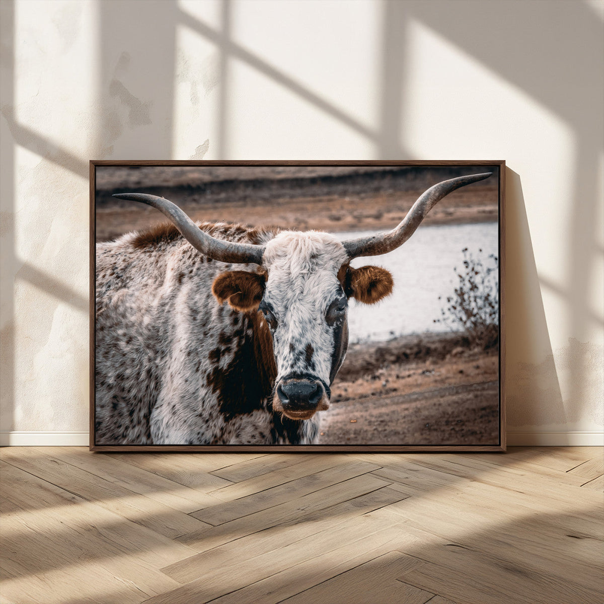 Texas Longhorn Wall Art Canvas Print | Framed Brown and White Spotted Longhorn