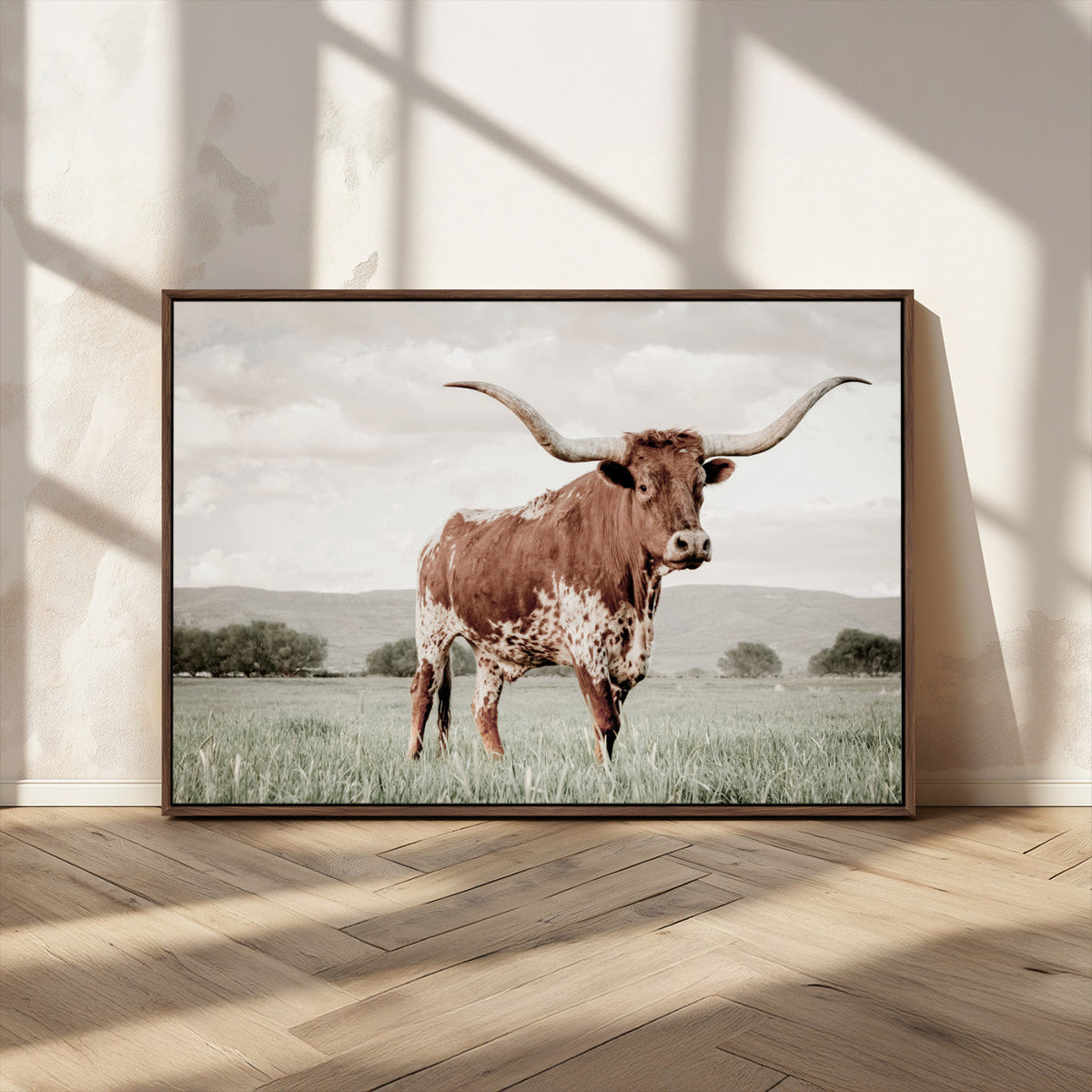Texas Longhorn Wall Art | Framed Spotted Cattle Canvas
