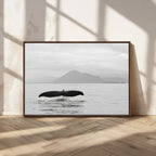 Whale Tail Wall Art | Framed Black White Ocean Canvas