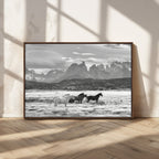 Wild Horses Wall Art | Framed Black White Mountain Canvas