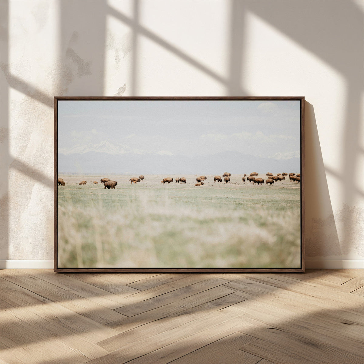 Bison Herd Wall Art Canvas Print, Framed Western Ranch Nature Scene
