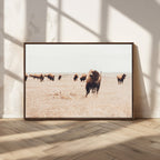 Bison Herd Wall Art Canvas Print, Framed Western Prairie Serenity