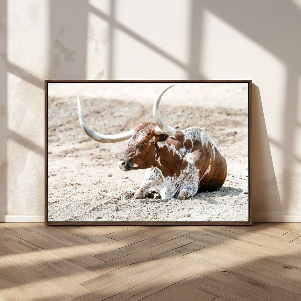 Majestic Longhorn Wall Art Canvas Print, Resting on Sunlit Desert Ground