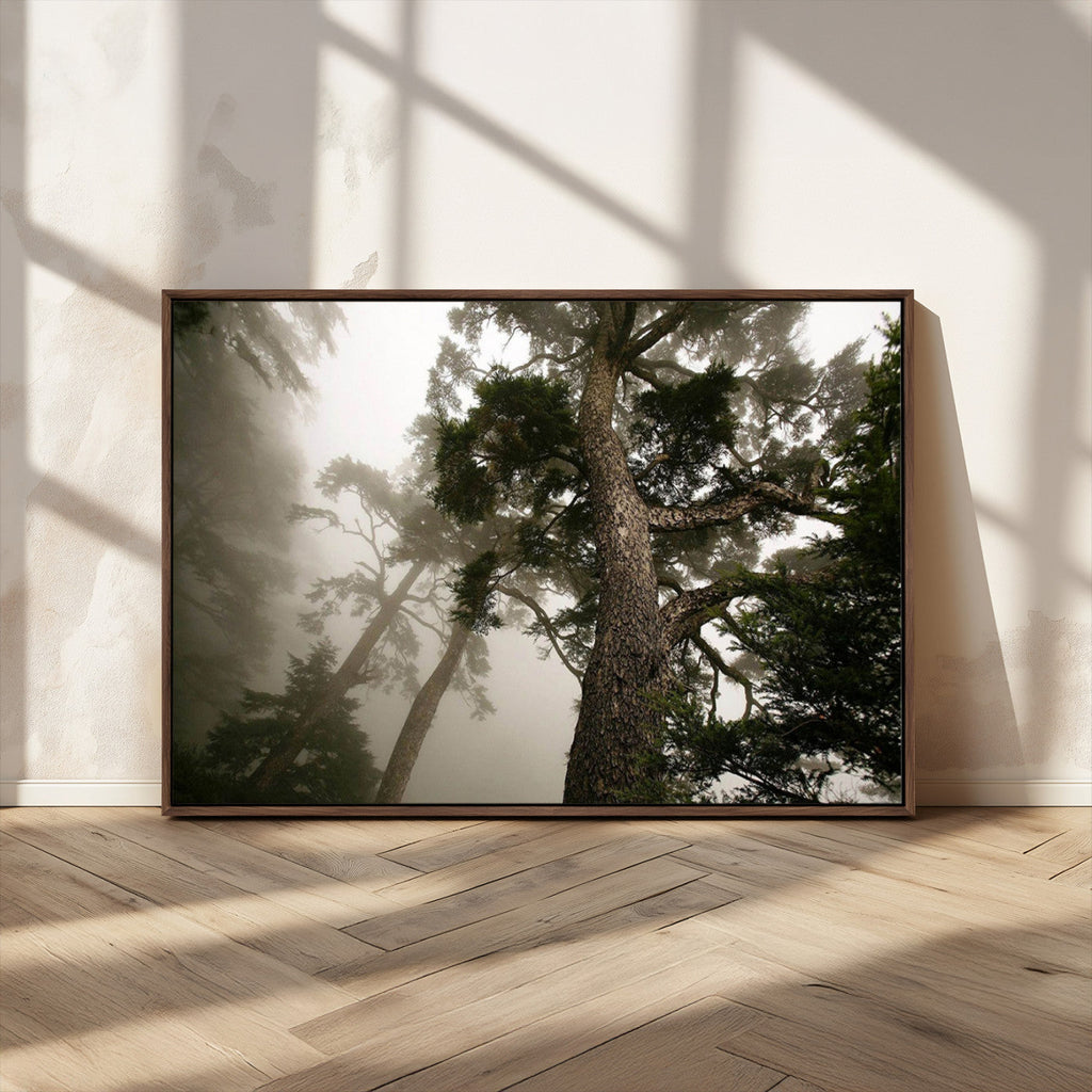 Misty Forest Wall Art Canvas Print, Framed Tall Trees in Foggy Atmosphere