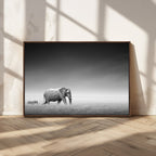 Elephant and Zebra Wall Art Canvas Print, Modern Artwork