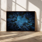 Forest and Stars Wall Art Canvas Print