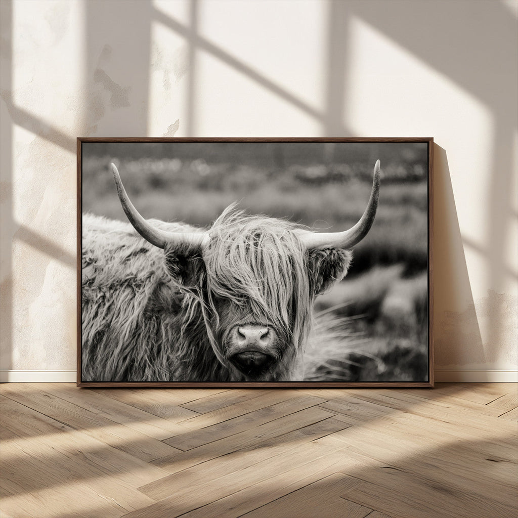 Cow Focus Canvas Wall Art Print