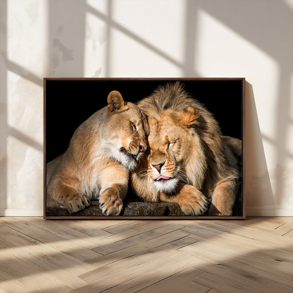 Lion and Lioness Wall Art Canvas Print | African Wildlife Animal Art