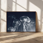 Jellyfish Wall Art Canvas Print, Modern Abstract Jellyfish