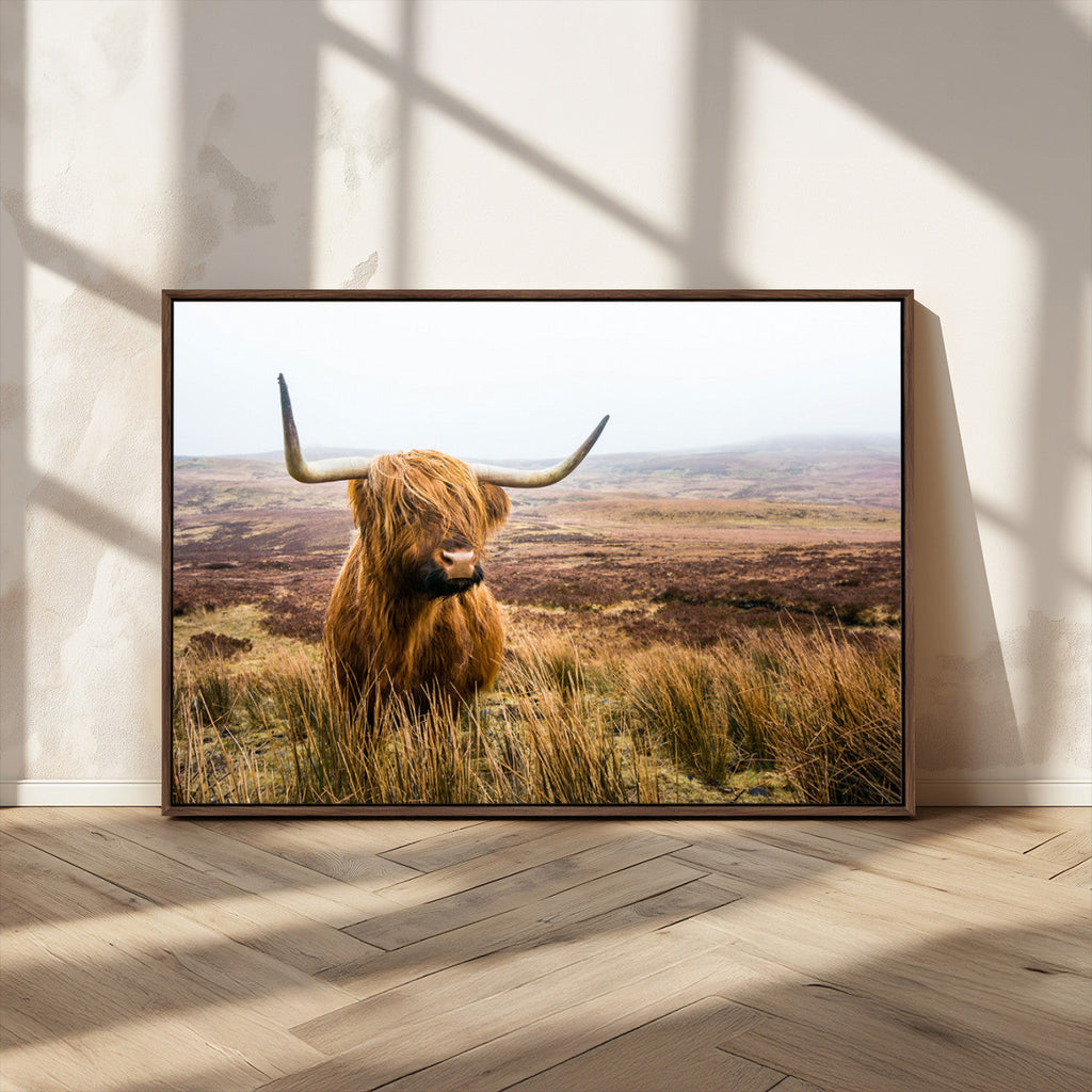 Scottish Highland Cow Canvas Wall Art, Rustic Farmhouse Decor