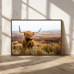 Scottish Highland Cow Canvas Wall Art, Rustic Farmhouse Decor