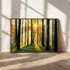 Sunlit Forest Wall Art Canvas Print, Large Framed Woodland Scene with Golden Light