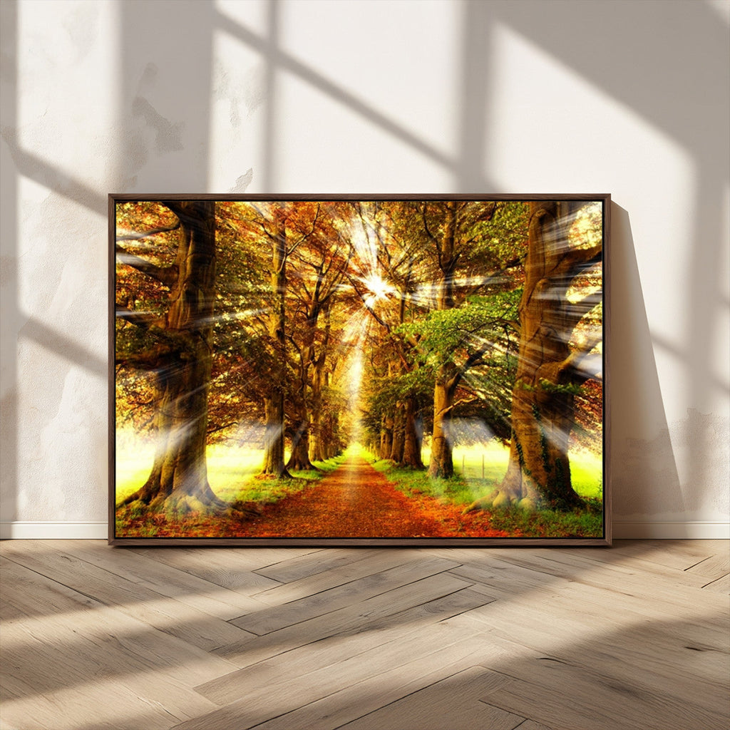 Sunshine in Forest and Trees Wall Art Canvas Print