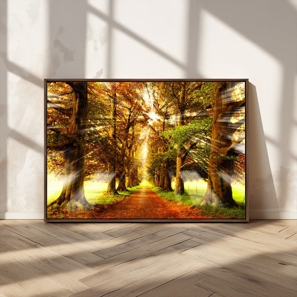 Sunshine in Forest and Trees Wall Art Canvas Print