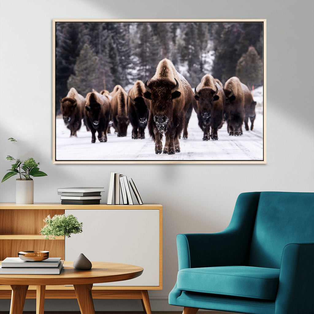 Bison Wall Art Canvas Print, Bison Herd Canvas Wall Art