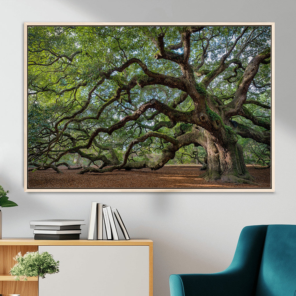 Historic Tree Wall Art | Framed Mossy Branch Canvas Artwork