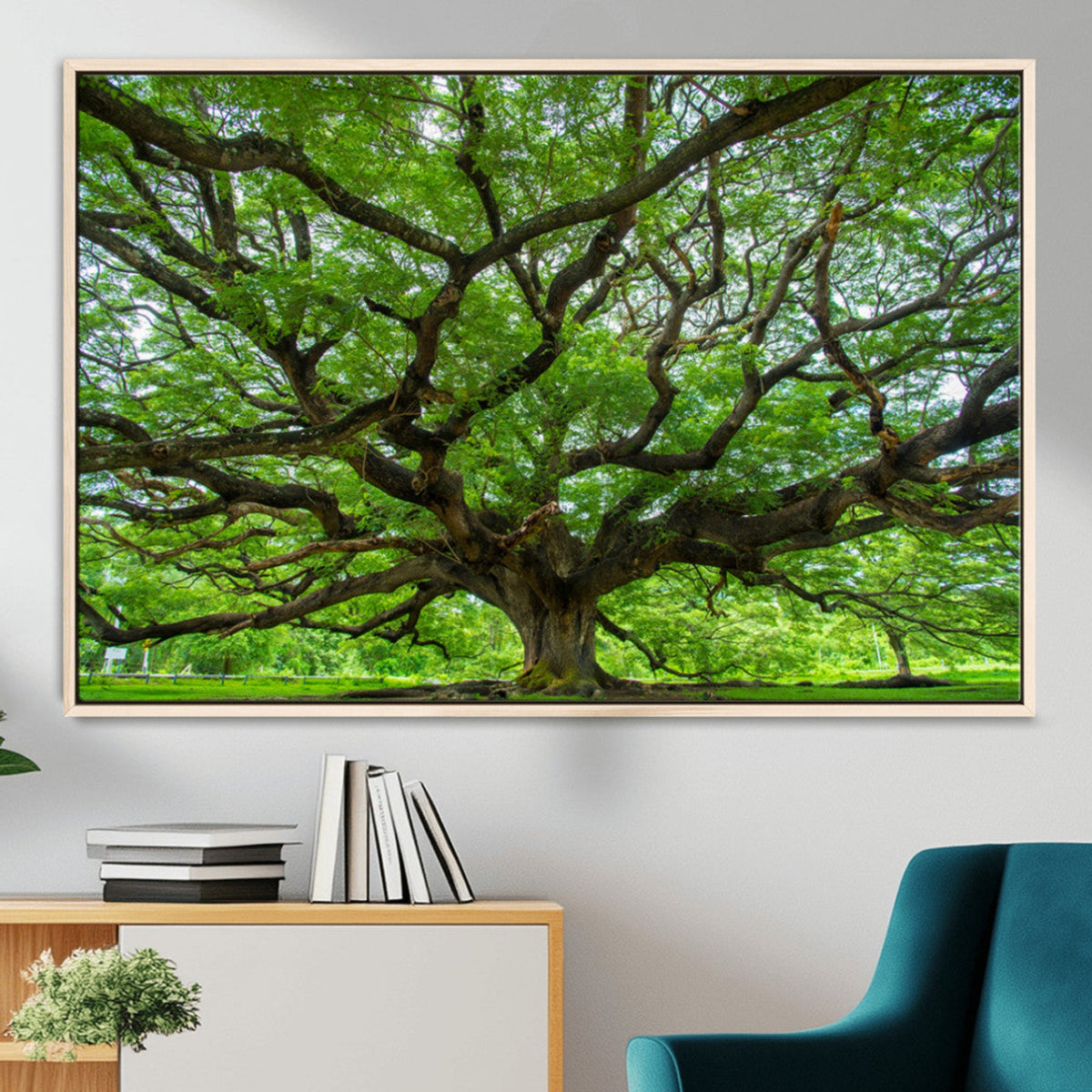 Ancient Tree Wall Art Canvas Print, Framed Sprawling Branches