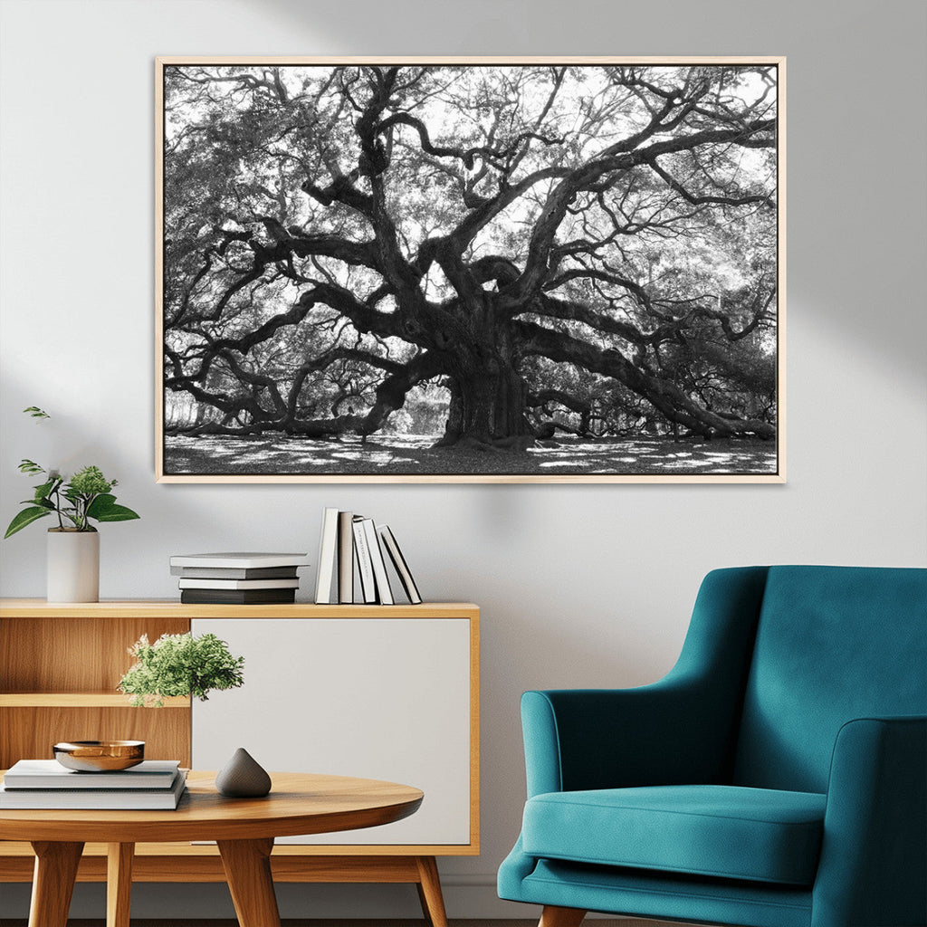 Ancient Oak Wall Art Canvas Print | Gnarled Tree with Twisted Branches