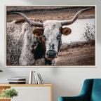 Texas Longhorn Wall Art Canvas Print | Framed Brown and White Spotted Longhorn