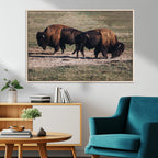 Bison Wall Art Canvas Print, Framed Western Wildlife Modern Ranch