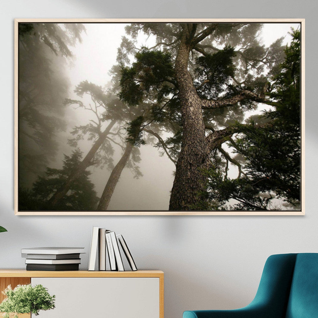 Misty Forest Wall Art Canvas Print, Framed Tall Trees in Foggy Atmosphere