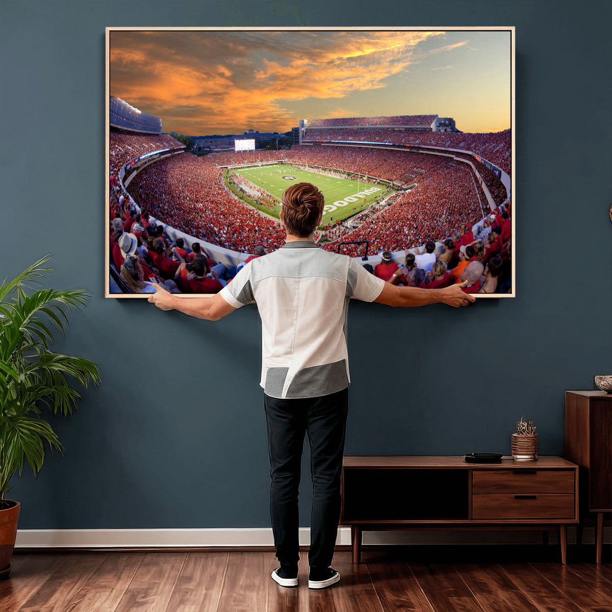Dooley Stadium Wall Art, Sports Arena Canvas Print, Dooley Field, Framed and Ready to Hang