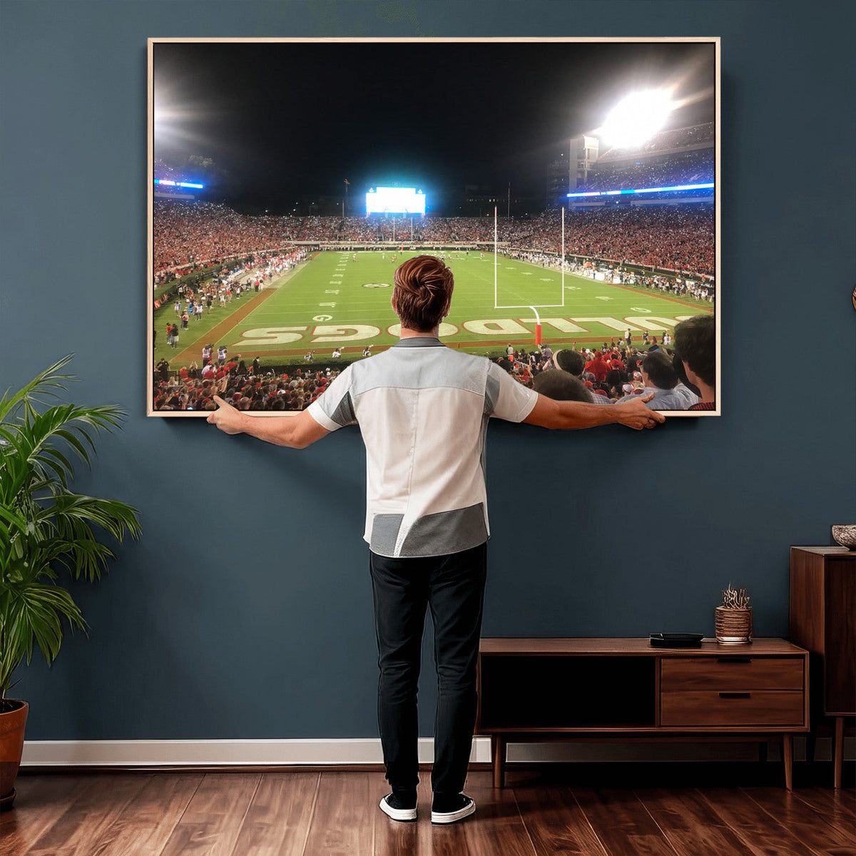 Dooley Stadium Wall Art, Sports Arena Panoramic Canvas