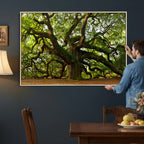 Angel Oak Tree Wall Art Canvas Print | Forest Tree Nature Photography Print