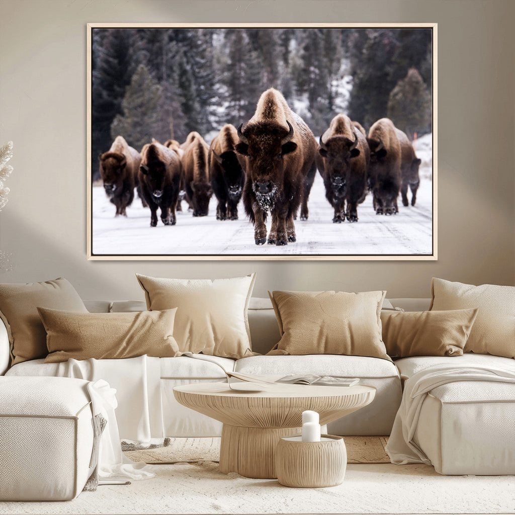 Bison Wall Art Canvas Print, Bison Herd Canvas Wall Art