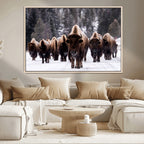 Bison Wall Art Canvas Print, Bison Herd Canvas Wall Art