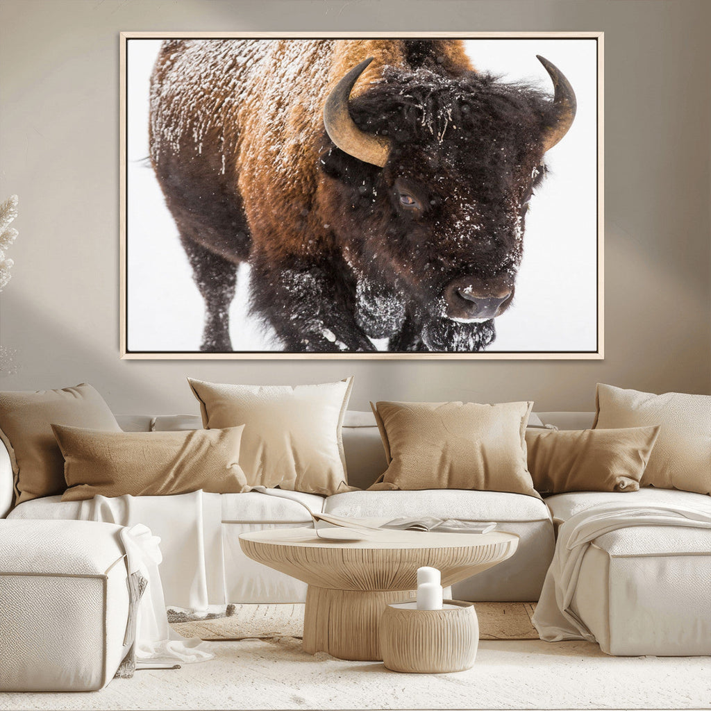 Bison Wall Art Canvas Print For Farmhouse, Wild Animal Wall Art