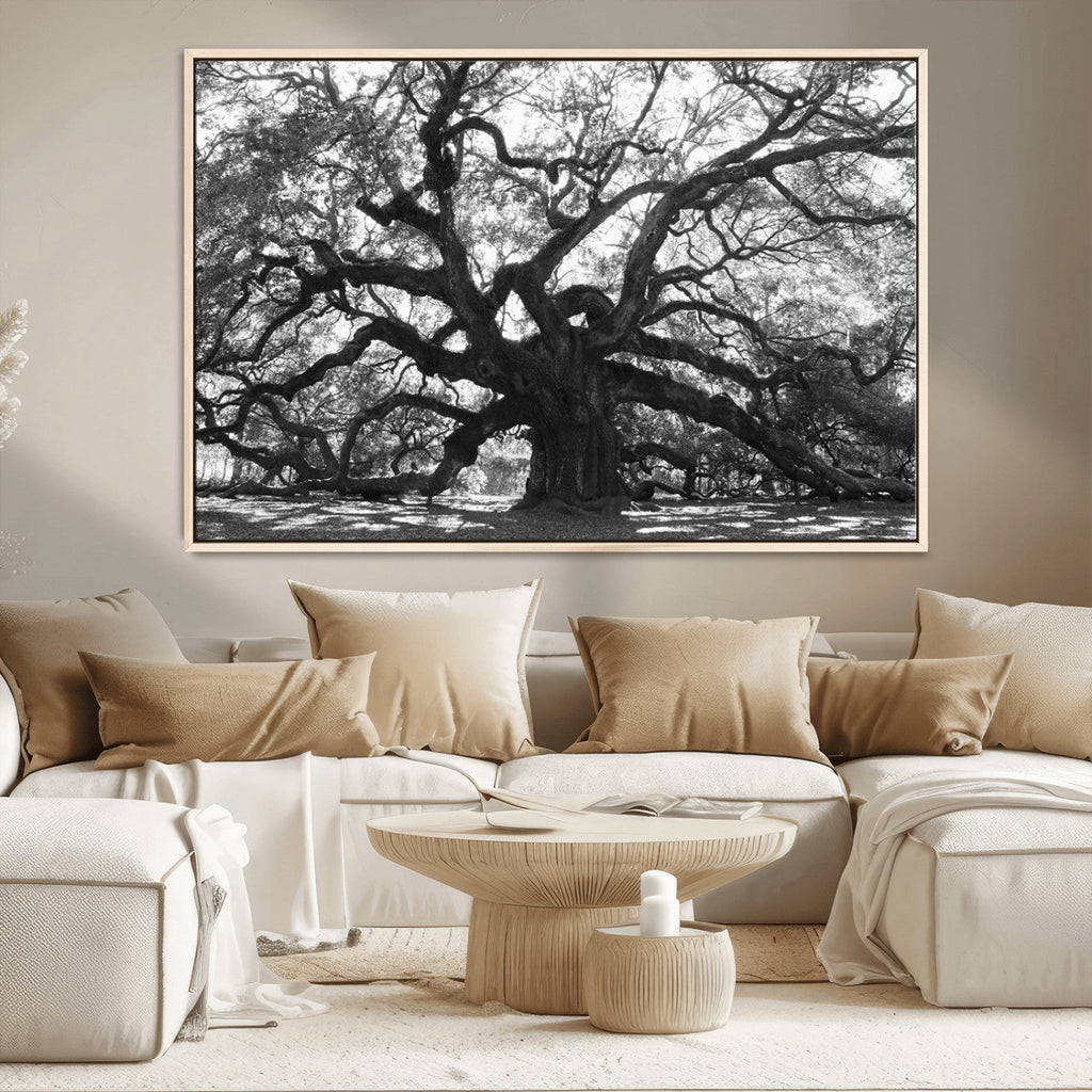 Ancient Oak Wall Art Canvas Print | Gnarled Tree with Twisted Branches