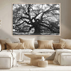 Ancient Oak Wall Art Canvas Print | Gnarled Tree with Twisted Branches