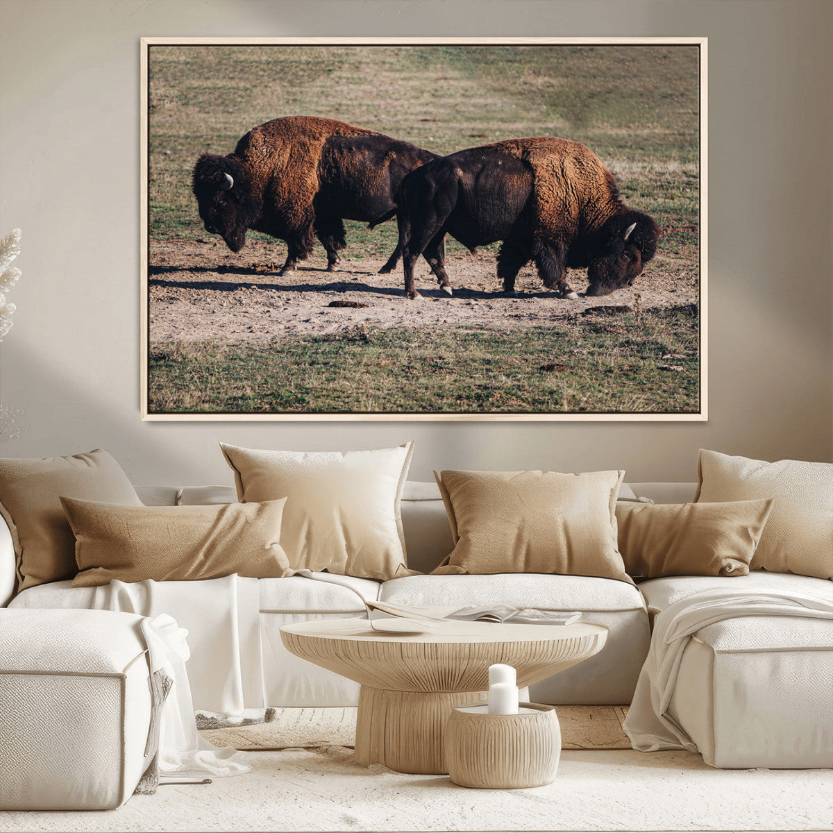 Bison Wall Art Canvas Print, Framed Western Wildlife Modern Ranch