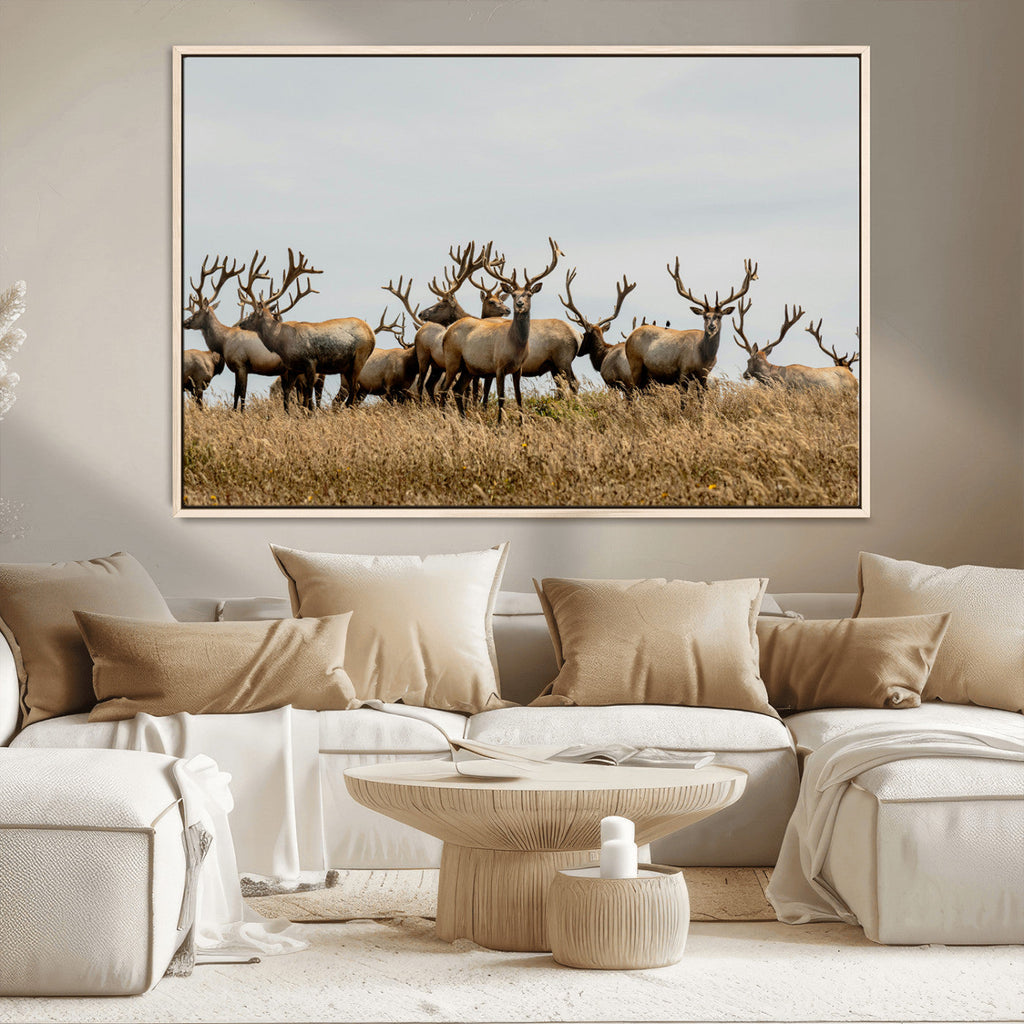 Elk Herd Wall Art Canvas Print, Framed Wildlife Photography Art, Majestic Antlers Rustic Wildlife Decor