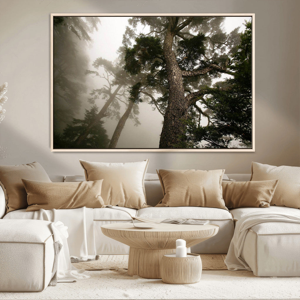Misty Forest Wall Art Canvas Print, Framed Tall Trees in Foggy Atmosphere