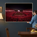 Dooley Stadium Wall Art, Sports Arena Canvas Print, Dooley Field Sanford Stadium