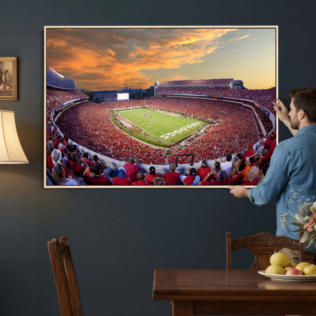 Dooley Stadium Wall Art, Sports Arena Canvas Print, Dooley Field, Framed and Ready to Hang