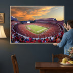 Dooley Stadium Wall Art, Sports Arena Canvas Print, Dooley Field, Framed and Ready to Hang