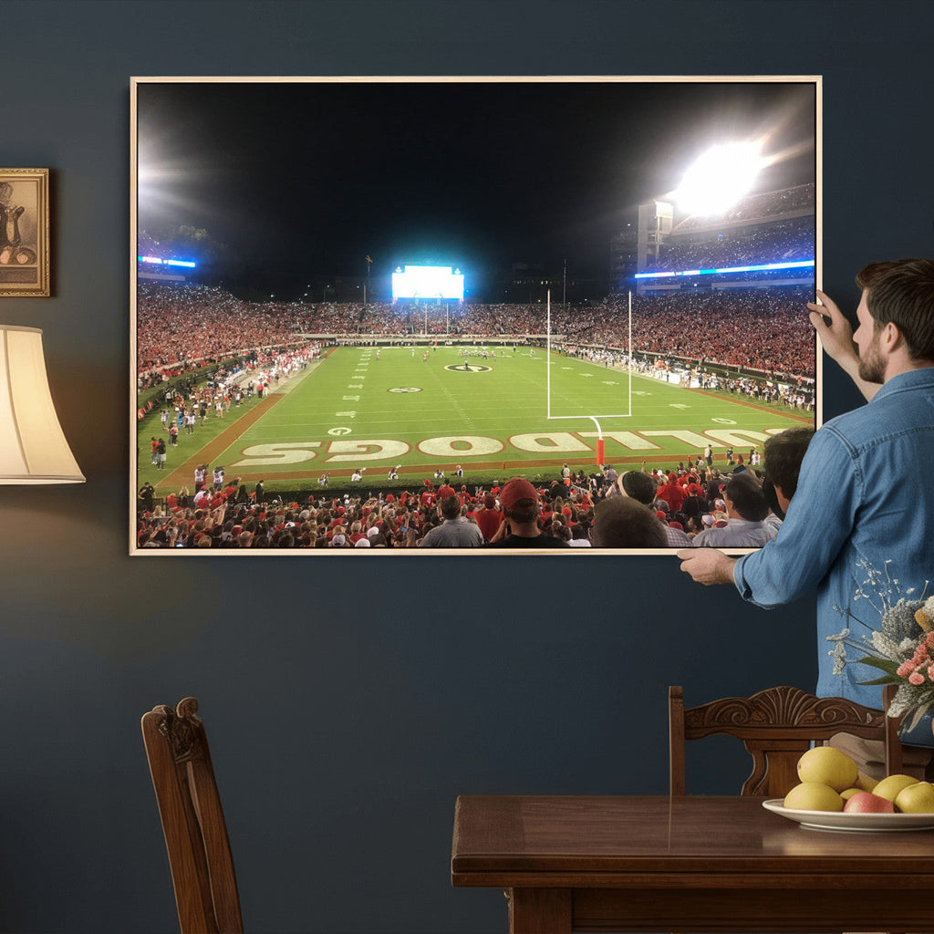 Dooley Stadium Wall Art, Sports Arena Panoramic Canvas