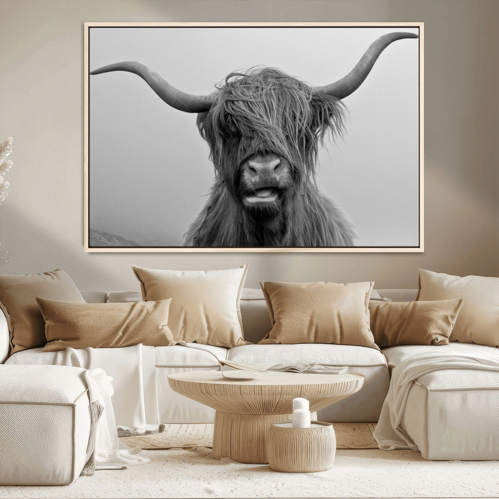 Texas Cow Wall Art Canvas, Texas Longhorn Cattle Canvas Print