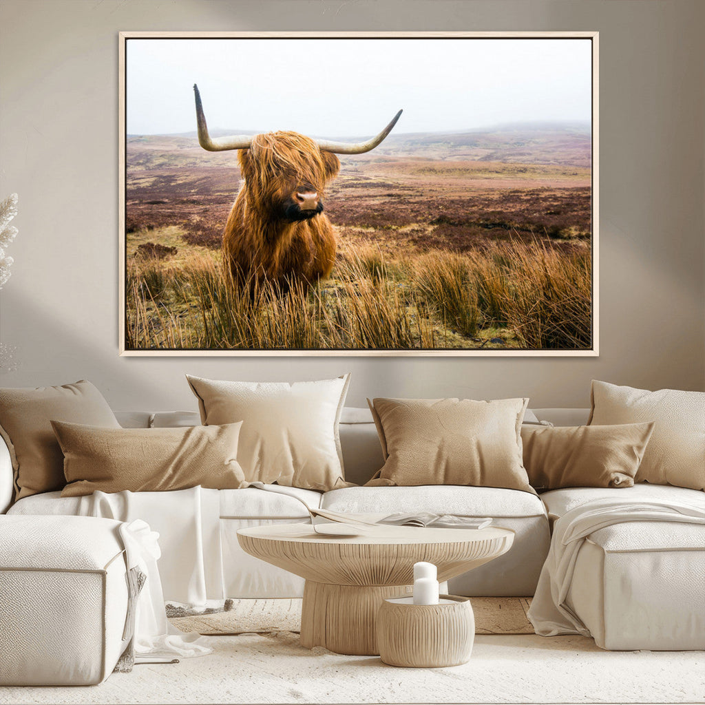 Scottish Highland Cow Canvas Wall Art, Rustic Farmhouse Decor