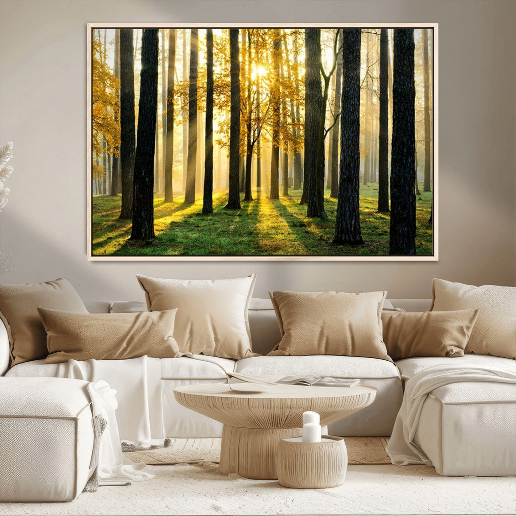 Sunlit Forest Wall Art Canvas Print, Large Framed Woodland Scene with Golden Light