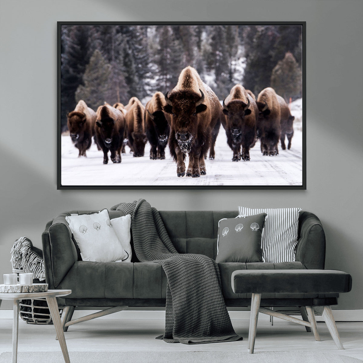 Bison Wall Art Canvas Print, Bison Herd Canvas Wall Art