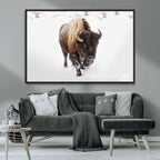 Bison Winter Wall Art Canvas Print For Farmhouse Decor