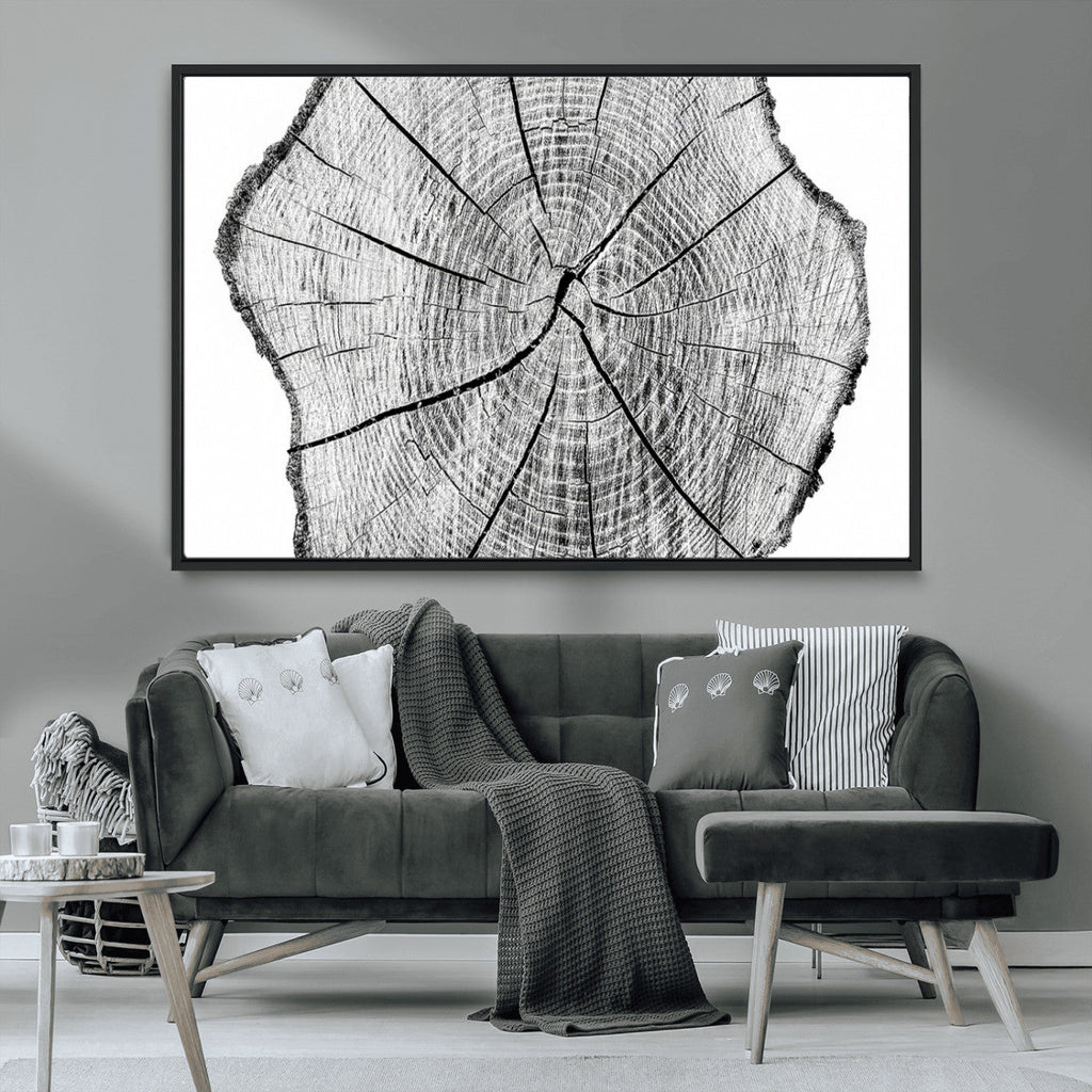 Rustic Tree Ring Wall Art Canvas Print, Framed and Ready to Hang