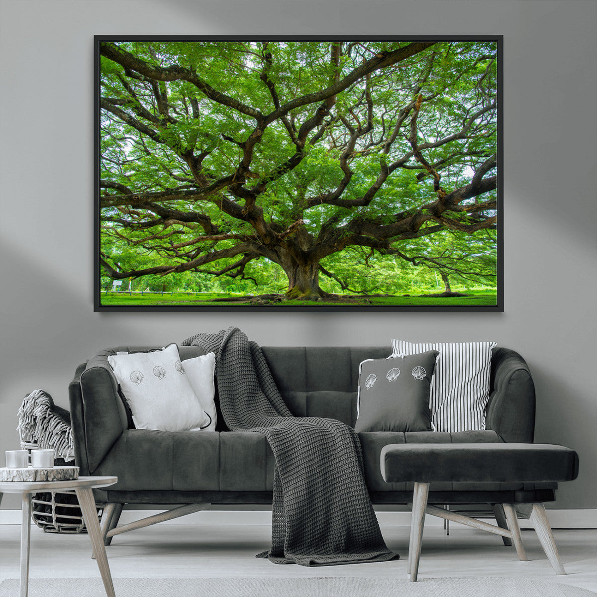 Ancient Tree Wall Art Canvas Print, Framed Sprawling Branches