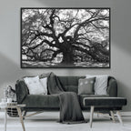Ancient Oak Wall Art Canvas Print | Gnarled Tree with Twisted Branches